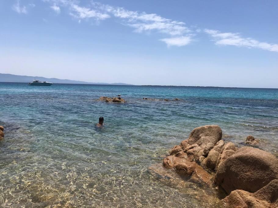 Bel App T2 En Bord De Mer Vue Sanquinaires Piscine 阿雅克肖 外观 照片